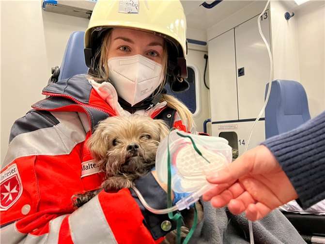 Die Rettungsdienstbesatzung der Rettungswache der Malteser Sankt Augustin versorgten den Hund mit Sauerstoff. Fotos: FFW Sankt Augustin