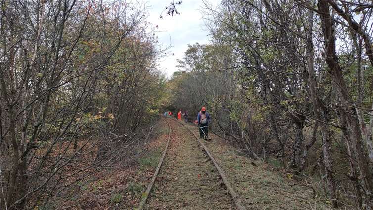 Eifelquerbahn: In Kaisersesch läuft der Streckenfreischnitt Dieaktuellen Arbeiten finden östlich des Bahnhofs Kaisersesch statt. Foto: privat
