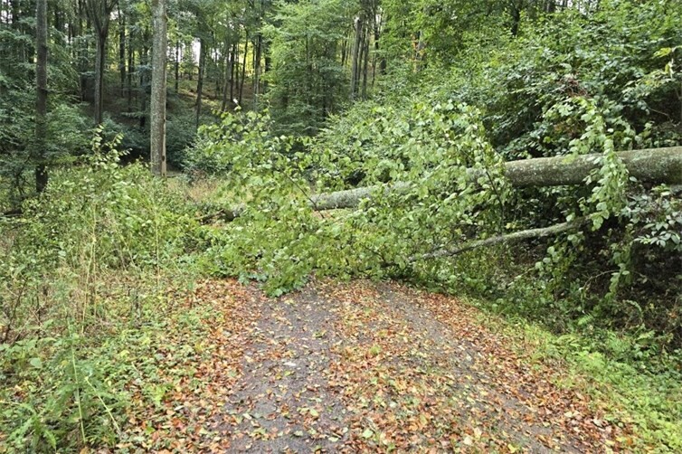 Dies ist nur einer von vielen Schäden, die das Unwetter angerichtet hat – es wird um entsprechende Rücksicht bzw. Vorsicht gebeten