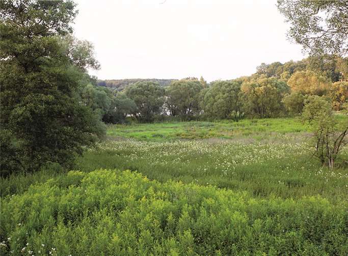 Diese Bachaue zwischen den Ortsrand Raubach und der Firma Metsä Tissue soll überplant werden. WT