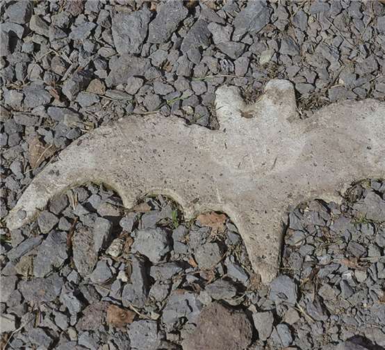 Diese Fledermäuse markieren den Rundweg auf dem Mayener Grubenfeld, dem Treffpunkt von Abertausenden von Fledermäusen aus ganz Mitteleuropa. Stadt Mayen