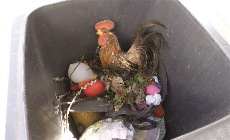 Diese Grausamkeit sah und fotografierte Willi Fuhrmann aus Niederzissen für blickarazzi.Willi Fuhrmann