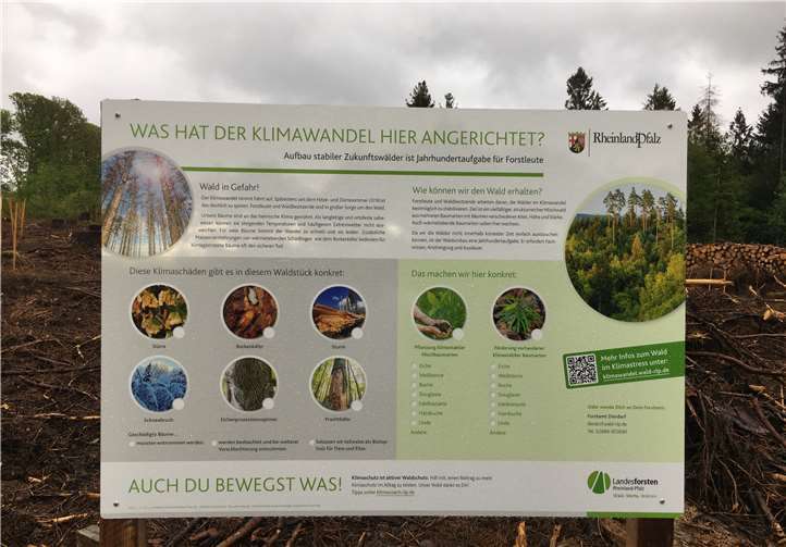 Diese Informationstafel wurde nun im Wald aufgestellt. Foto: privat