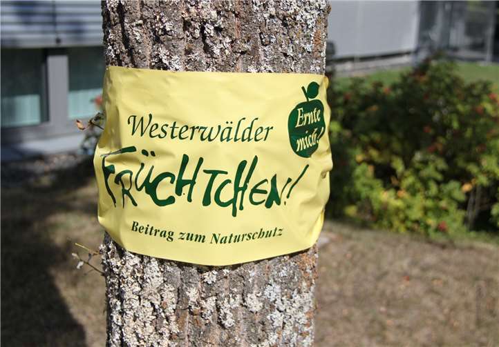 Diese Markierung der Aktion „Ernte mich!“ weist darauf hin, dass das Obst vom Eigentümer zur Ernte für alle freigegeben ist. Pressestelle der Kreisverwaltung