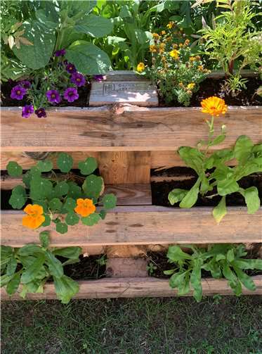 Diese Palette wurde mit Blumen bestückt.