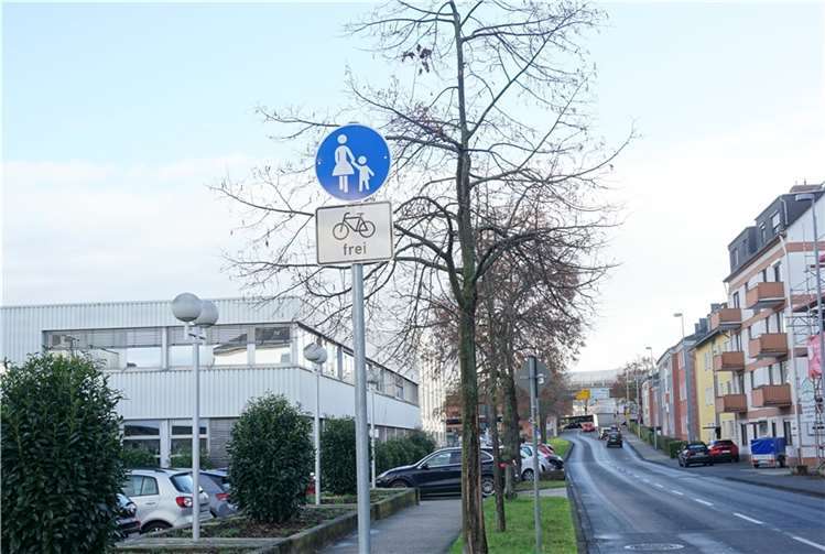 Diese geschädigten Linden an der Beatusstraße müssen im Zuge des Radwegeausbaus gefällt werden.  Foto: Stadt Koblenz / Verena Groß