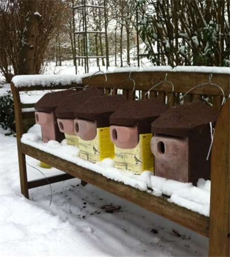 Diese komfortablen Vogelhäuser wurden von Dr. Jochen Koop gespendet.privat