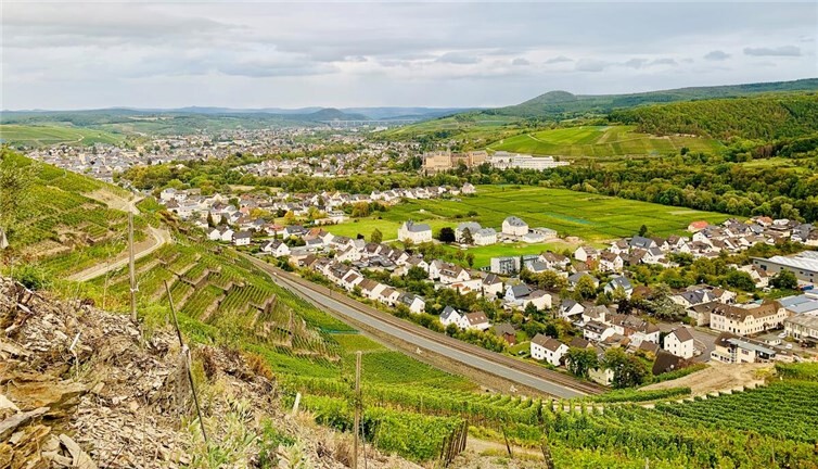 Diese prächtige Aussicht bietet sich Besucher des Olivenhains. Foto: ROB