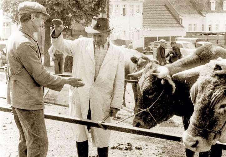 Diese und noch andere Bilder, werden im Kalender zu finden sein. privat