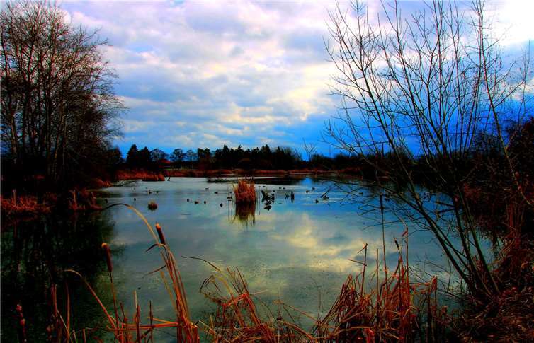 Diese wunderschöne winterliche Stimmung auf den Thürer Wiesen fing unser Leser Dietmar Groß mit seiner Kamera ein.