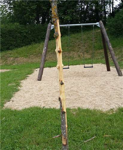 Dieser Ahorn auf dem Spielplatz Birgel wurde von Unbekannten schwer geschädigt.  Stadt Adenau