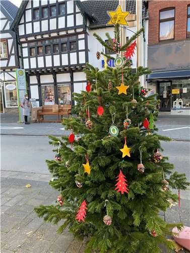 Dieser Baum muss gefunden werden.Foto: privat