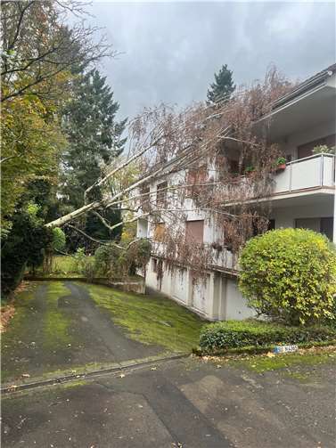Dieser Baum stürzte auf ein Haus.
