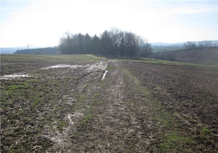 Dieser Feldweg zwischen Montabaur und Dernbach wird so befestigt, dass Fußgänger ihn bei jeder Witterung nutzen können. Foto: privat