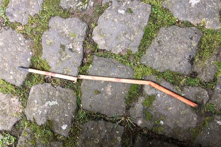 Dieser Holzpfeil mit Metallspitze steckte im Hals des Tieres.  Foto: Polizeidirektion Mayen