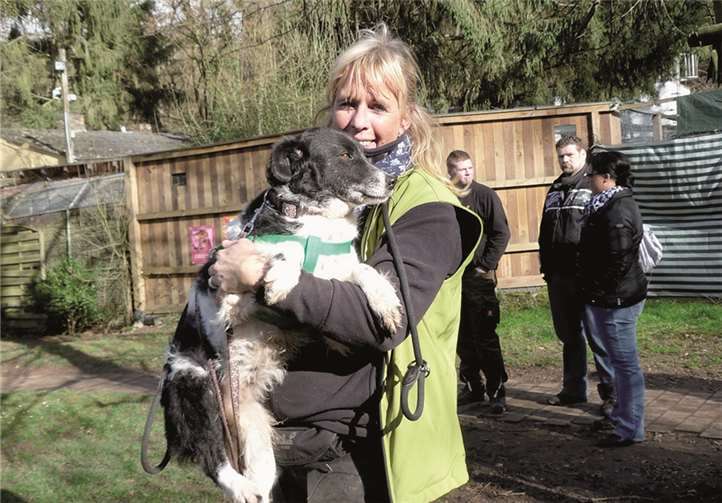 „Tierschutz darf keine Grenzen kennen“  Dieser Hund hat jetzt ein neues Zuhause gefunden.