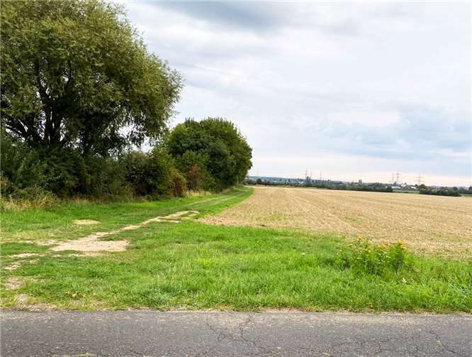 Dieser Wirtschaftsweg könnte al Fahrradweg nach Meckenheim hergerichtet werden. Foto: privat