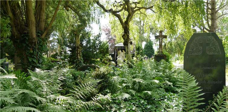 Dieser historische Teil des Friedhofs wird bewusst kaum gepflegt: Die Natur darf ihn erobern.