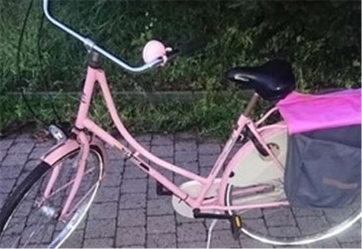 Dieses Fahrrad warfen zwei Kinder weg, als sie sich ertappt fühlten. Jetzt wird der Besitzer gesucht.Polizeipräsidium Koblenz