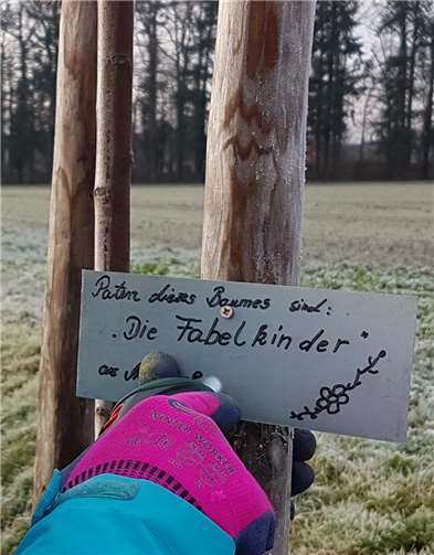 Dieses Schild sieht man an vier neu gepflanzten Bäumen in Adendorf. Foto: privat