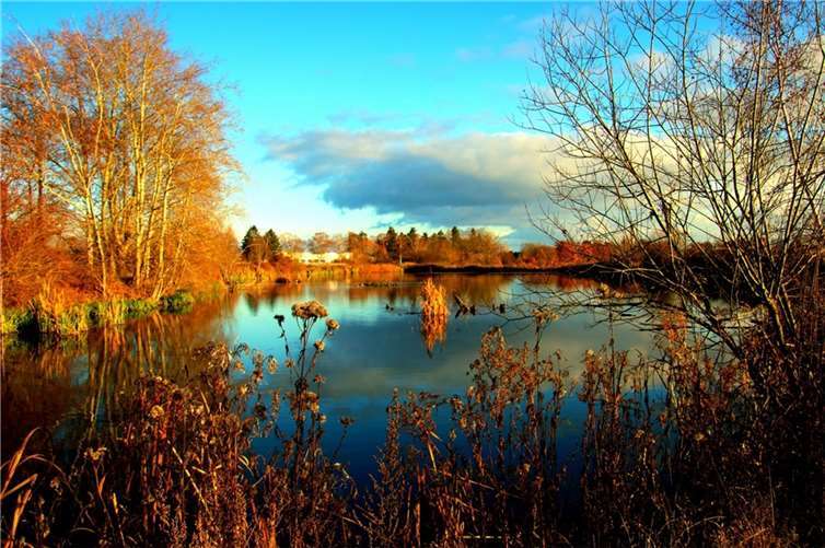 Dieses schöne Bild der Thürer Wiesen schickte uns unser Leser Dietmar Groß.Foto: Dietmar Groß