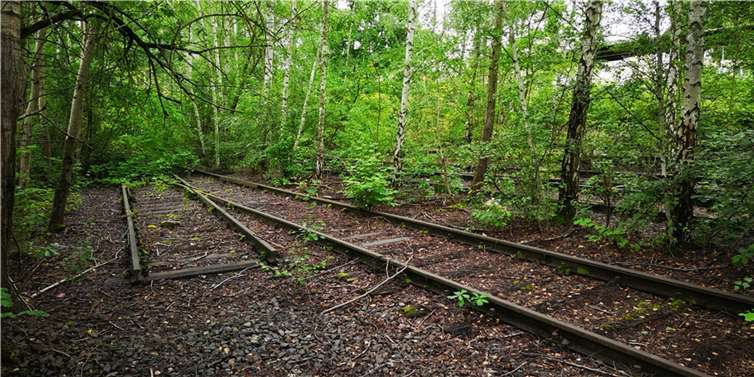 Dieses ungenutzte Bahngelände soll herangezogen werden, um die Stellplatzverpflichtung der Stadt Neuwied gegenüber der Landesstiftung „Villa Musica“ zu erfüllen. Das Grundstück, auf dem jedoch noch mehr Parkplätze entstehen sollen, wurde zwischenzeitlich von der Stadt erworben.  Foto: Arbeitskreis Heimat + Tourismus Engers