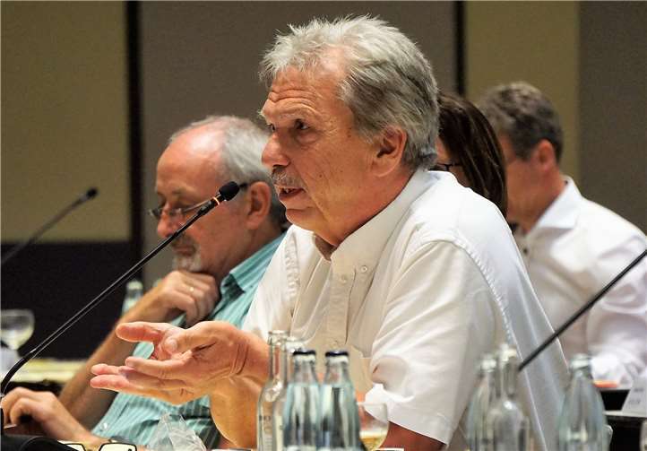 Dietrich G. Rühle hat in einem 12-seitigen Gutachten die Vorwürfe gegen Bürgermeister Michael Mang untersucht.