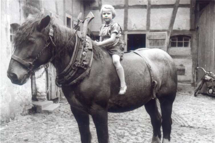 Dietrich Glauner berichtet aus der Geschichte von Niederbachen. Das Bild zeigt den Hof Gödderz. privat