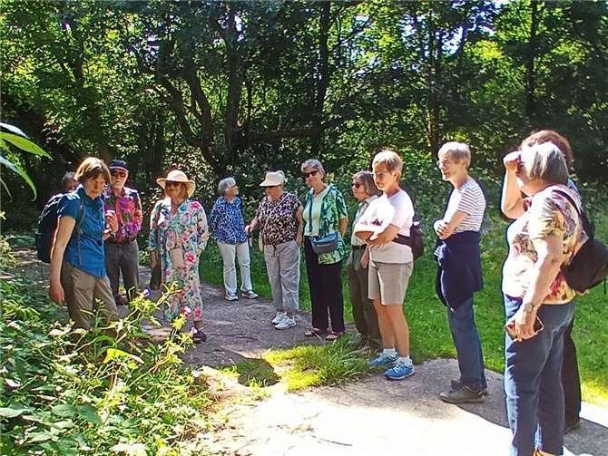 Diplom-Biologin Christiane Guth (links) zeigt den Wanderfreunden des Obst- und Gartenbauvereins (OGV) Rheinbreitbach wie man nützliche heimische Wildkräuter sicher erkennt.Foto: Maren Hemens Schmitz