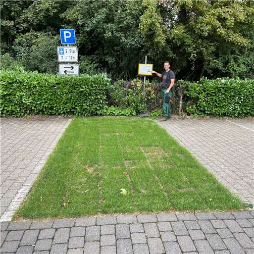 Dirk Kaes (Mitarbeiter des Urmitzer Bauhofs) neben dem begrünten Parkplatz. Foto: Ortsgemeinde Urmitz