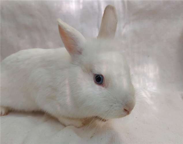 Dorie. Foto: Claus Krah