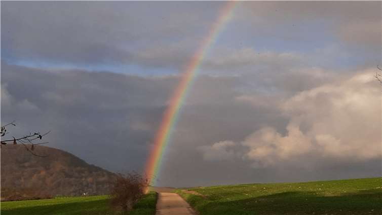 Dort, wo der Regenbogen den Boden berührt, liegt ja angeblich ein Schatz begraben. Ob BLICK aktuell-Leserin Elke Schilling auf diesem Feld bei Niederzissen Reichtum gefunden hat oder nicht, bleibt wohl ungeklärt. Klar ist allerdings, dass ihr ein schöner Schnappschuss gelungen ist. Danke für dieses Foto!  Foto: Elke Schilling