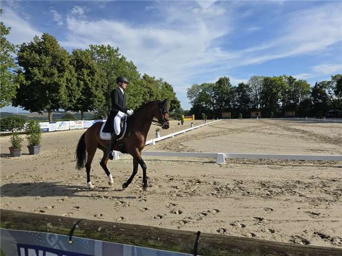 Dr. Andreas Mietze mit seinem Pferd Via Nova.  Foto: privat