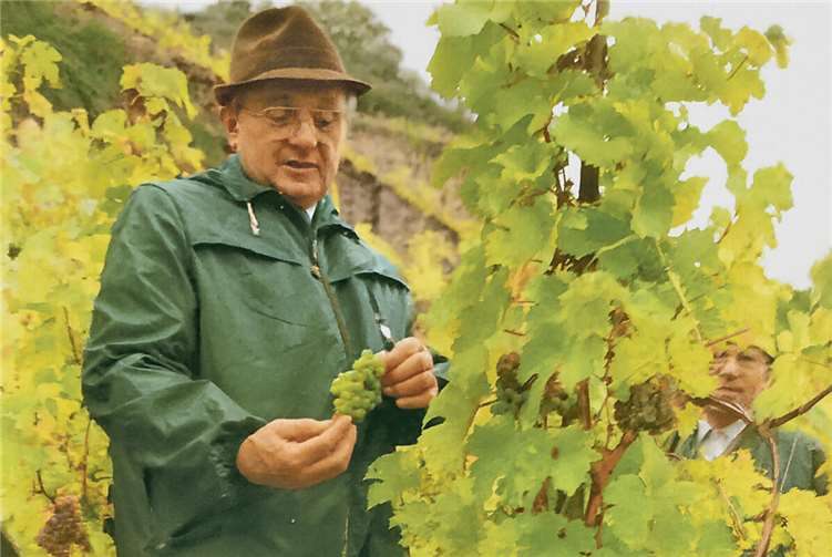 Dr. Georg Klinkhammer: Ein Visionär für den Kreis Mayen-Koblenz Dr. Georg Klinkhammer bei der Weinlese 1986.