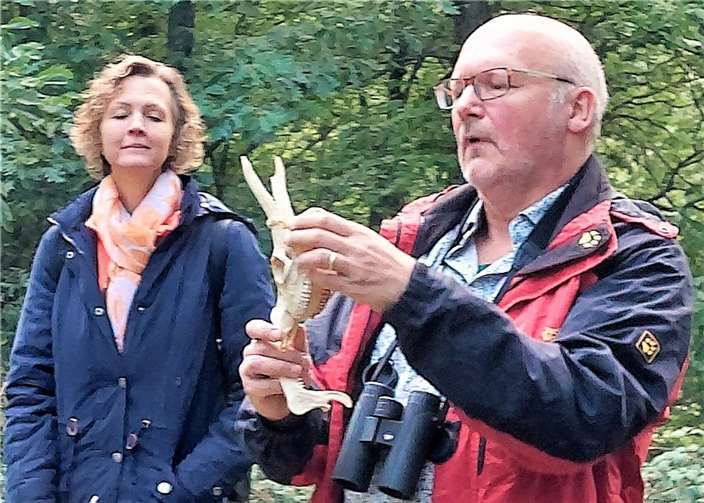 Dr. Wagner erläutert den Unterschied zwischen Hörnern und Geweih.