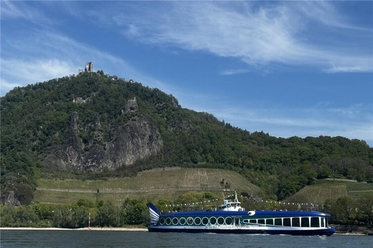Drachenfels