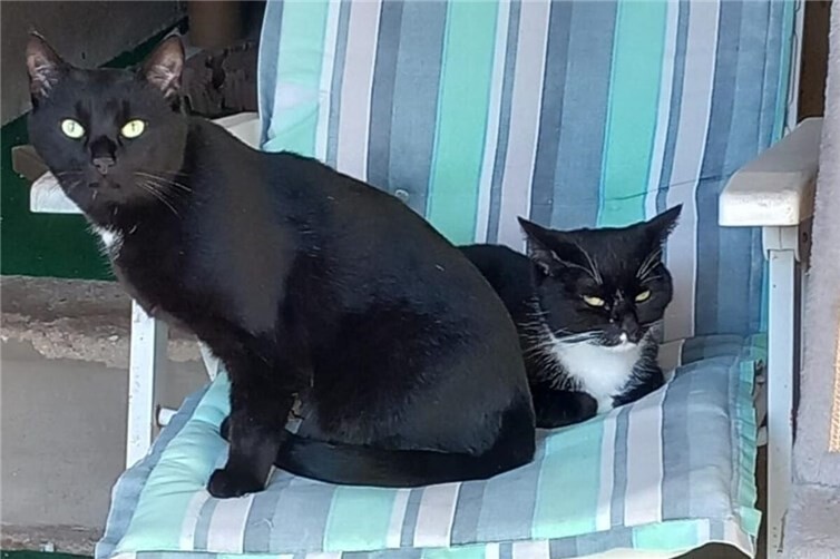 Dreamteam Eddy und Charly