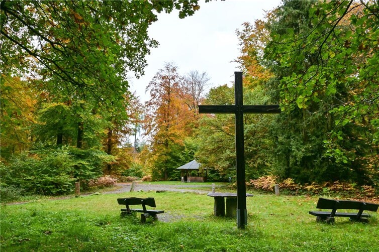 Drei Eichen im Helferskirchener Gemeindewald, beliebtes Wander- und Naherholungsgebiet. Dieses Gebiet würde durch die geplanten Windindustrieanlagen verlärmt und zerstört. Foto: Harry Neumann/NI