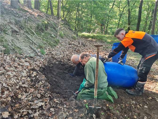 Drei Mitglieder der Deutschen Ameisenschutzwarte siedeln mithilfe der Forstwirte des Forstrevieres Laacher See den Staat der Ameisen um. Foto: Forstamt Koblenz/Alena Schmidt