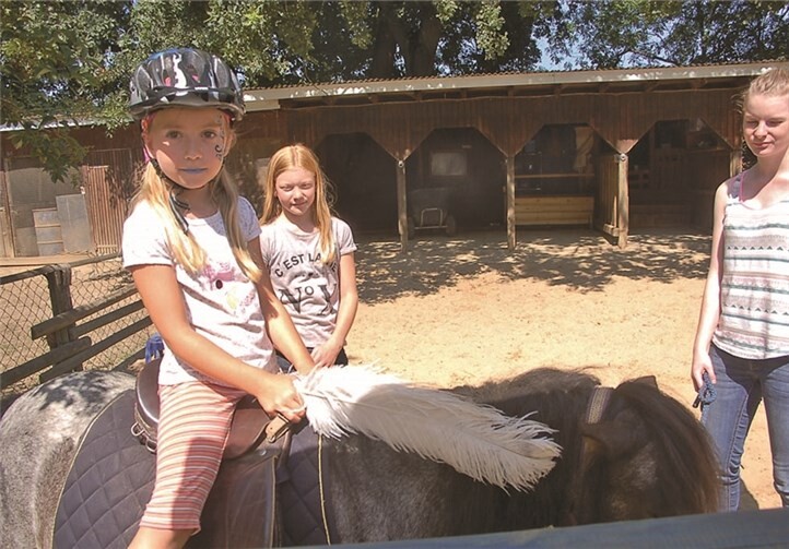 Drei niedlichen Ponys waren der Hingucker schlechthin und vor allem die jüngsten Festbesucher waren eingeladen, auf deren Rücken eine Runde zu drehen. RÜ