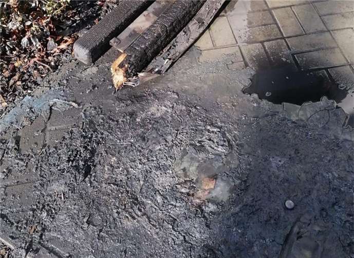 Drei von vier Mülltonnen verbrannten vollständig. Foto: privat