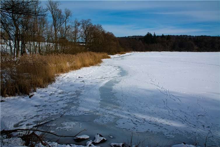 Dreifelder Weiher im Winter.Foto: Marcel Weidenfeller