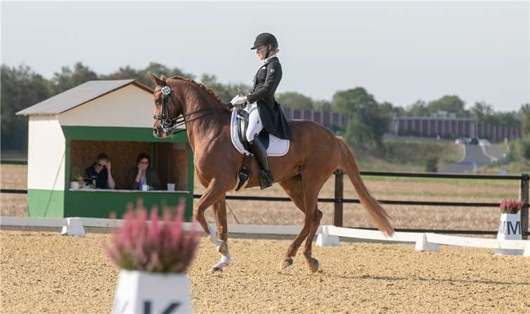 Dressursport auf höchster Leistungsstufe boten die Teilnehmer des Sankt Georg Spezial-Wettbewerbs am Sonntagnachmittag im Rahmen der „Mieler Leitkultur“. Fotos: JOST