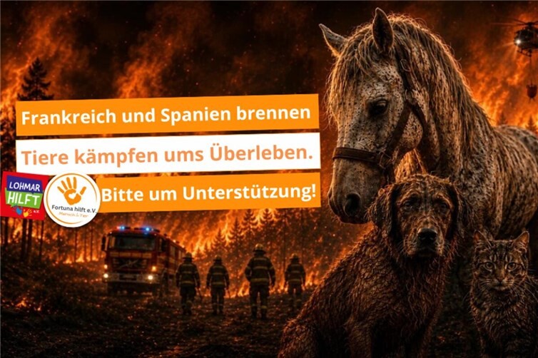Dringend Spenden und Unterstützung gesucht