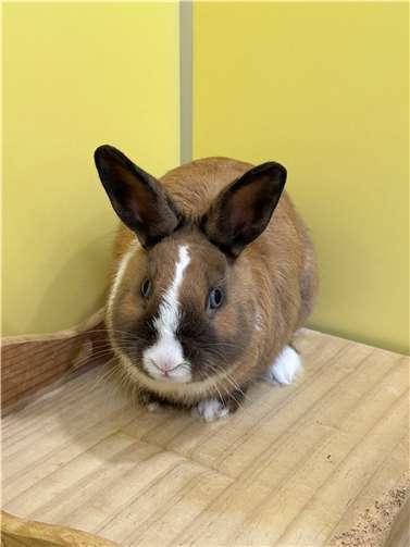 Drogo. Fotos: privat