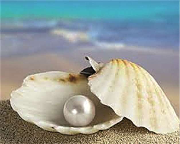 „Du verwandelst meinen Schmerz in eine Perle“ - das Motto des Gedenkgottesdiensts. privat