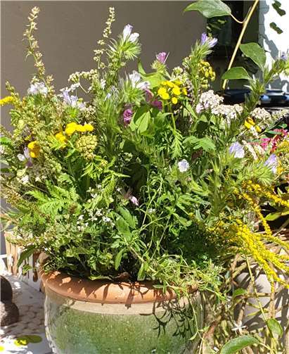 Duftende Sträuße wurden gebunden und gesegnet. Foto: privat