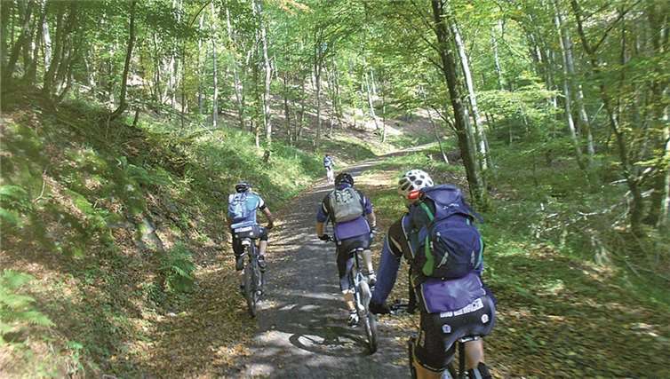 Durch das herbstliche Nitztal ging es zur Kapelle in St. Jost. privat