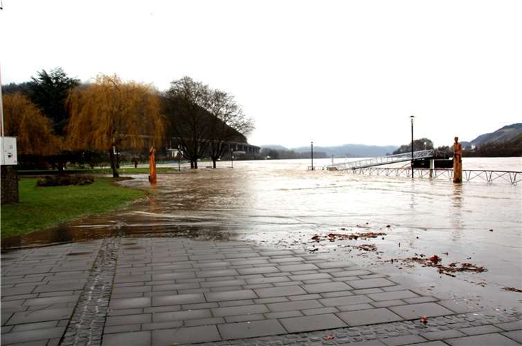 Durch den vielen Regen schreitet auch der Rhein in den Rheinanlagen in Andernach über die Ufer. Foto: Dietmar Groß