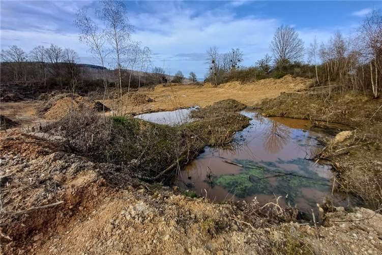 Durch die Baggerarbeiten zur Freistellung sieht das Gelände der alten Kiesgrube am Kieselberg bei Rhens noch wie ein lebensfeindlicher Zustand aus, aber durch die Naturschutzmaßnahmen wird der Weg in ein artenreiches Ökosystem geebnet.  Foto: Stiftung für Natur und Umwelt im Landkreis Mayen-Koblenz